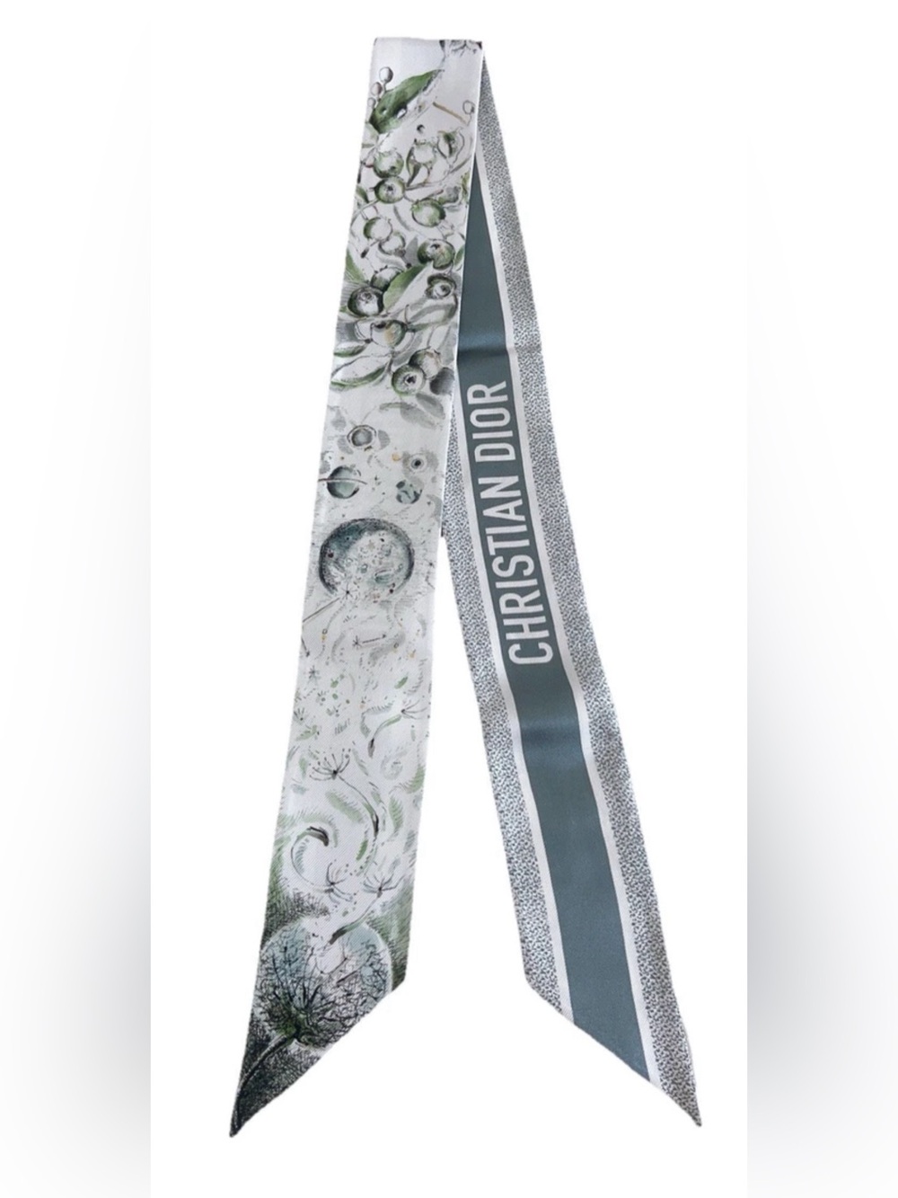 Dior Jardin D’hiver Mitzah Silk Scarf